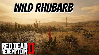 Wild Rhubarb Locations All Day Cycles