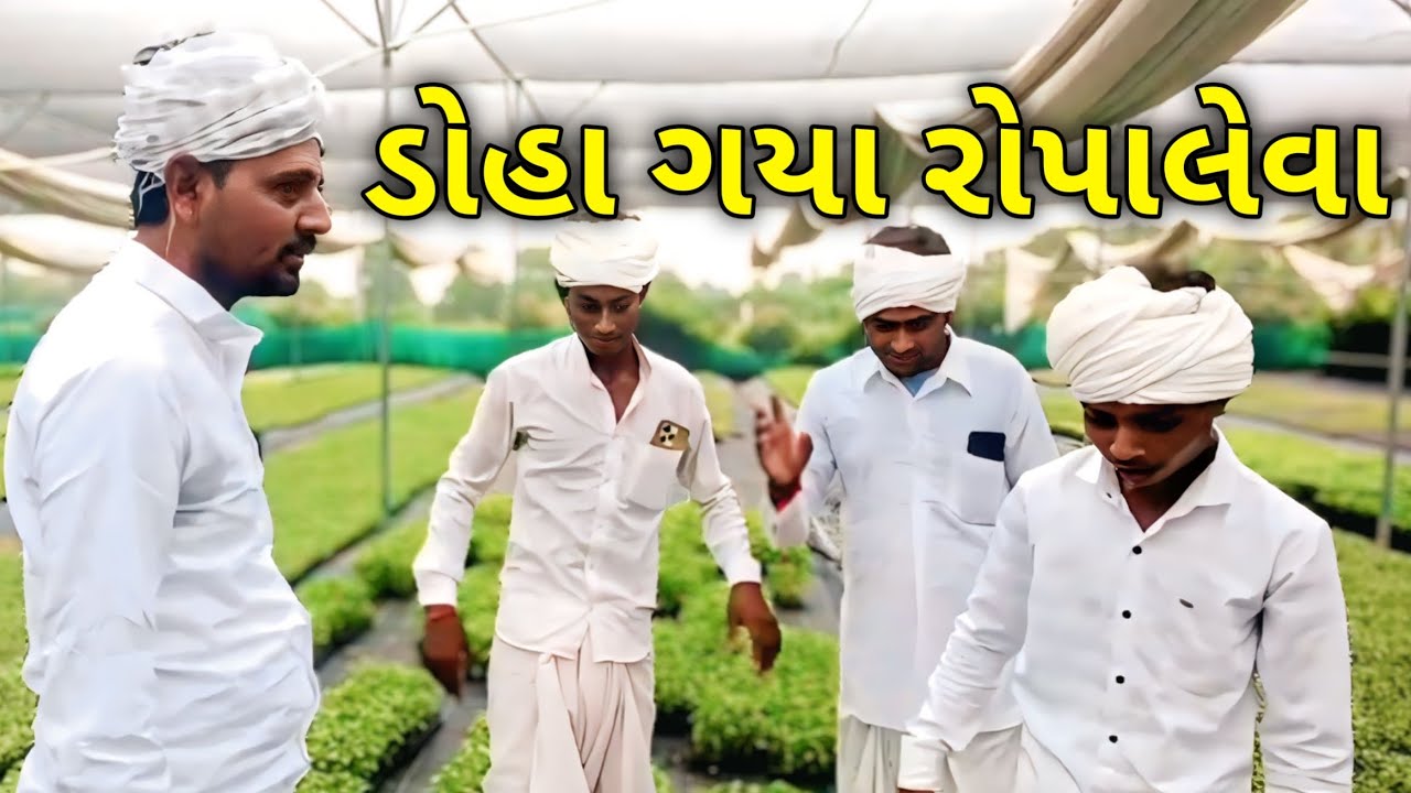 ડોહા ગયા રોપાલેવા //Gujarati comedy video//Gujju comedy boy