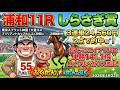 しらさぎ賞2026予想【浦和競馬】万馬券的中者🎯が毎日誕生🔥　全頭診断＋調教診断＋買い目