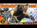 Grinding Jaguars Got Us a DIAMOND Melanistic-Charcoal! | theHunter Call of the Wild
