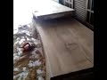 TERIMA PESANAN MEJA UKIR CUSTOM