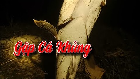 Cắm Câu Cá Lóc Bằng Mồi Trùn, Cá Lóc Nướng Trui!