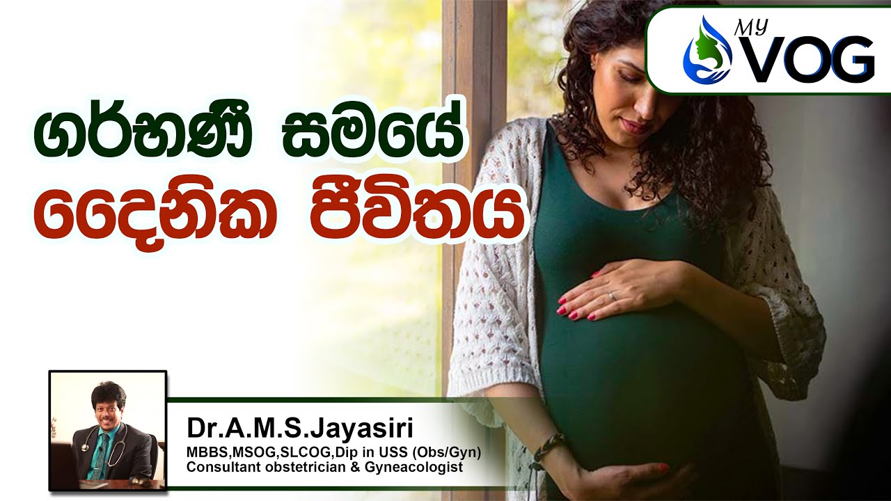 ගර්භනී සමයේදී දෛනික ජීවිතය | Daily life during pregnancy | Dr A.M.S. Jayasiri | Health Tips | My VOG