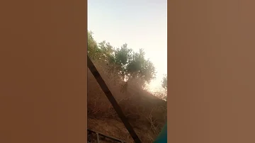 بنتي مشات تقرأ Explore Nature الغلا اكسبلور الجيلي Farming الوكره Agriculture القرميد 