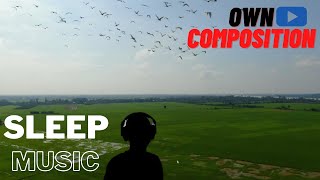 Sleep music to relax your MIND!!🎧 │ Flying birds background 🐦│Sound sleep│Own Composition│ screenshot 2