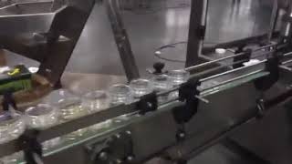Linear type viscous liquid filling machine.