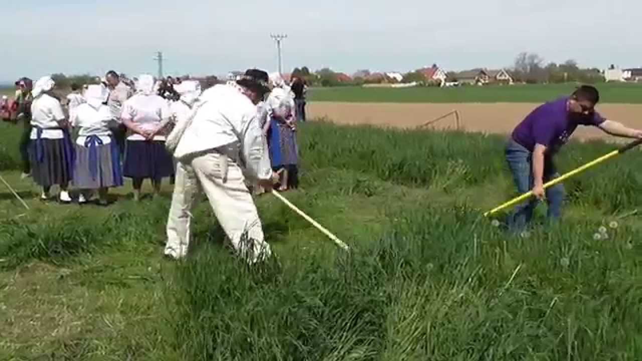 Majstrovstvá Slovenska v kosení