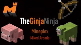 Minecraft Mineplex Mixed Arcade w/Friends!