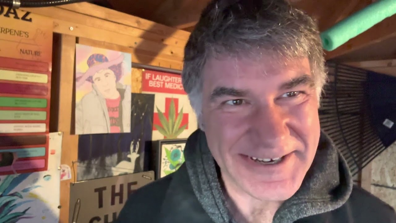 2023 02 08 Terp Town Sherbhead 3.5g