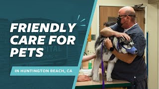 Hamilton Animal Hospital Tour | Friendly Care for Pets in Huntington Beach, CA