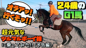 【予告】大好きな24歳のG1馬に乗ってみた！ヒャッハーと飛び跳ね…超元気に馬場を駆け回ります！【ツルマルボーイ様のシモベ】