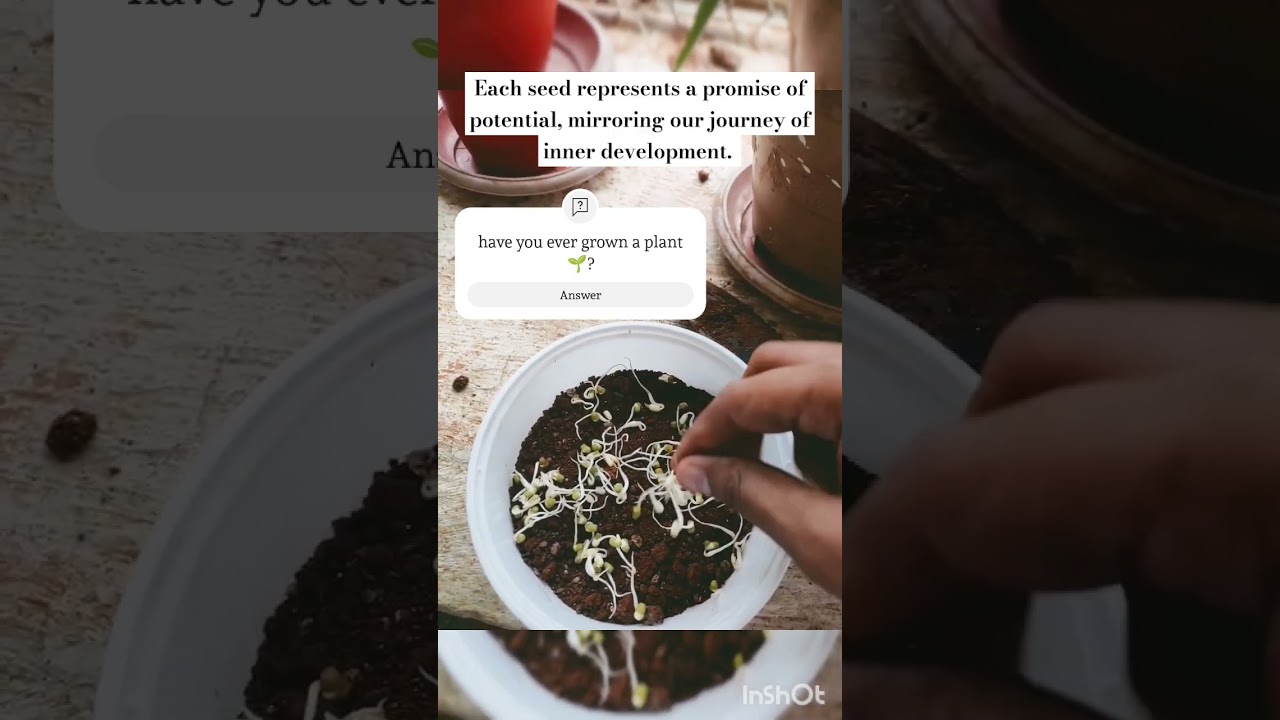 Planting seeds is a reflection of nurturing your own growth. 