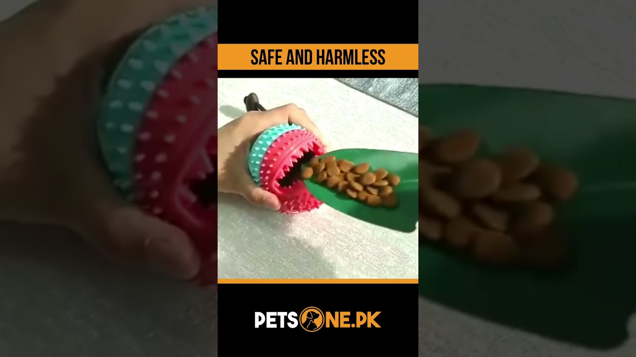 Sucker Cup Toy for Dogs