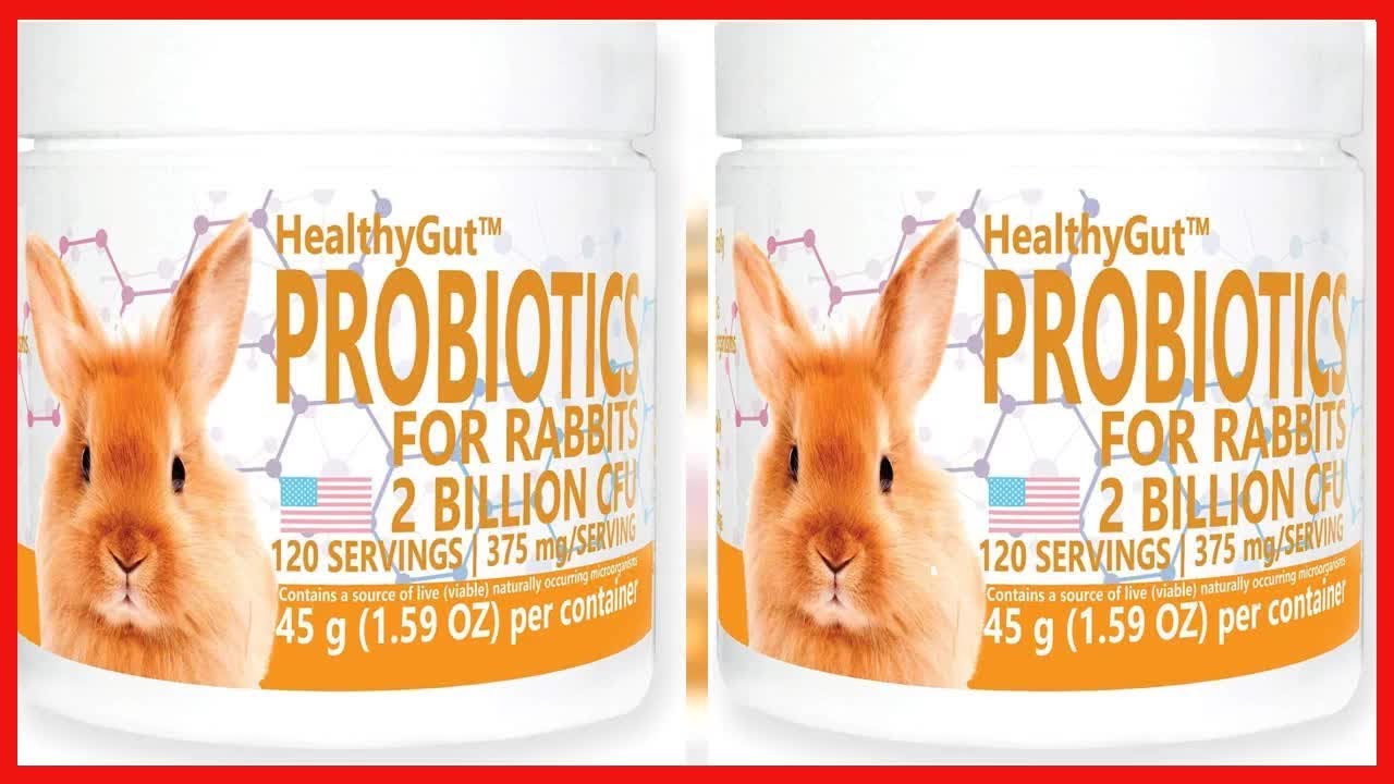 Quality product -  Equa Holistics HealthyGut Probiotics for Rabbits Dietary Supplement, All-Natural