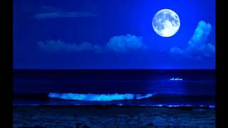 Blue Moon - Bobby Vinton
