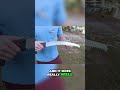 Oak Tree Pruning: Using a Silky Hand Saw (Tips & Tricks)