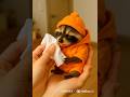 오구오구 잘하네🧻 꾸리의 물티슈 세수 타임🦝✨#꾸리 #귀여운너구리 #MiniRaccoon #물티슈세수 #귀여움폭발 #FunnyRaccoon #Shorts #CuteAnimals