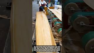 Veneer Slicing Technology: A Sustainable Solution for Your Home