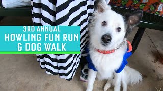 A Howling Good Time With Service Dogs Of Distinction