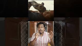 Anaconda Ka Aatank Hollywood adventure comedy new movie #filmi #fullmovie