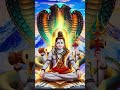 Varahi amman #varahi #religion #devotional #varahi_vastu #god #varahidevi #astrology #shorts
