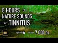 8 Hours Nature Sounds for Tinnitus — EP 4 | [7,000 Hz] | 4K HDR10 - E04-7000