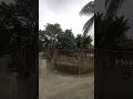 ASA NI SA SINDANGAN?🤣