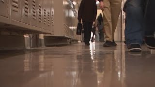 Lawmaker wants schools to offer mental health days to students in K-12