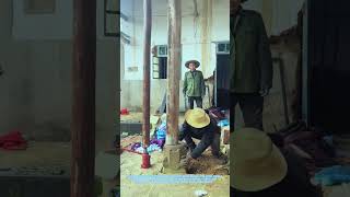 Lifting Ancient House Pillar to Remove 300-Year-Old Stone Base