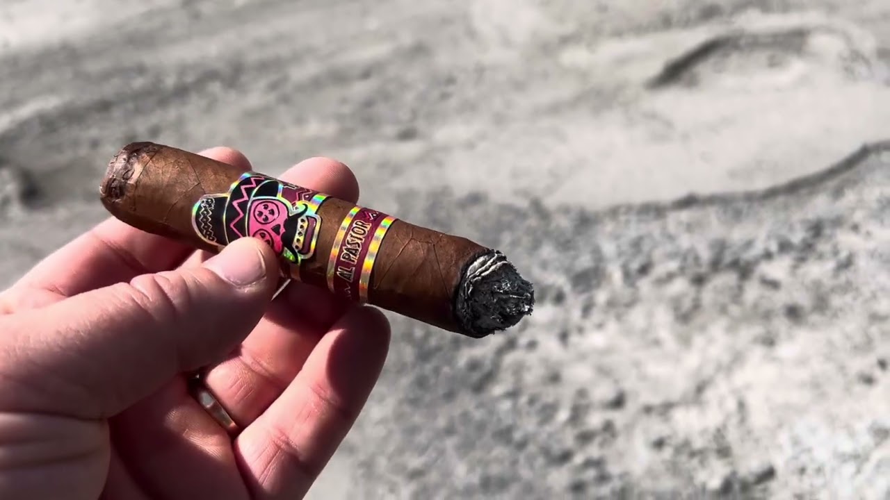 Rojas Street Tacos Al Pastor - “Garbage Returns”