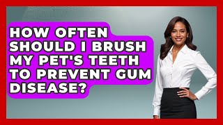 How Often Should I Brush My Pet's Teeth to Prevent Gum Disease? | Ask A Pet Vet