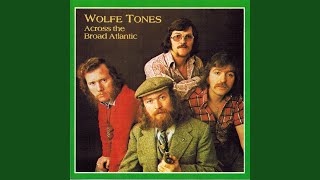 Video thumbnail of "The Wolfe Tones - The Great Hunger"