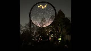 Astra Lumina: An Enchanted Night Walk Amongst The StarsQueens Botanical Garden, New York City