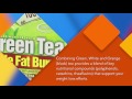 Applied nutrition green tea triple fat burner 30 liquid soft gels pack of 3