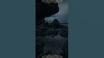 Thumbnail of The Passage of Time and Nature’s Symphony