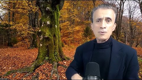 HOOGGERECHTSHOF VERNIETIGT TRUMPS TARIEVEN? EN DAN??