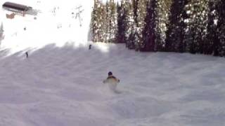 Telemark moguls skiing on Log Chute at Vail