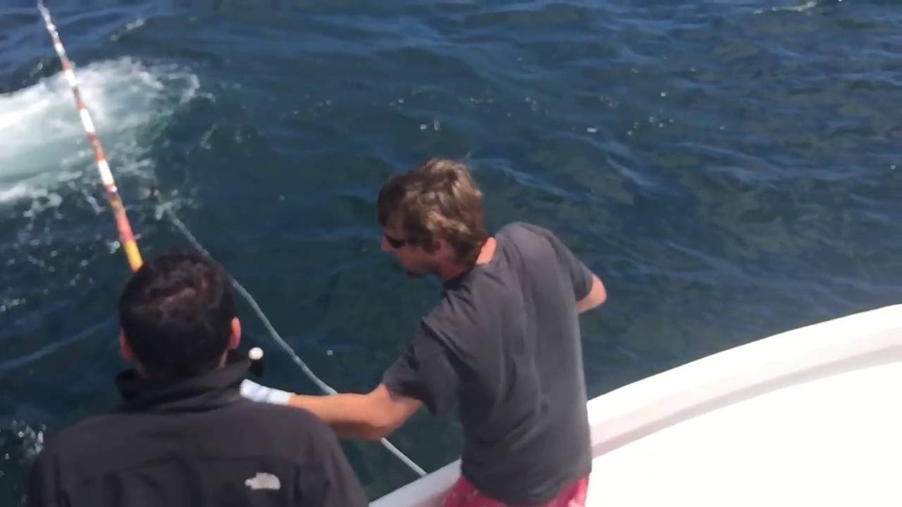 SloMo Bluefin Tuna Harpoon Shot YouTube