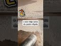 "Explorando Maravilhas do Conhecimento: Curiosidades Fascinantes Para Surpreender Você!