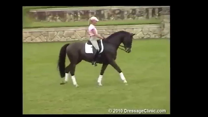 DressageClinic.c...  Presents Christine Traurig Da...