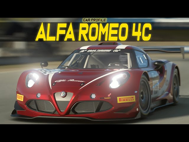 Race Car Profile
