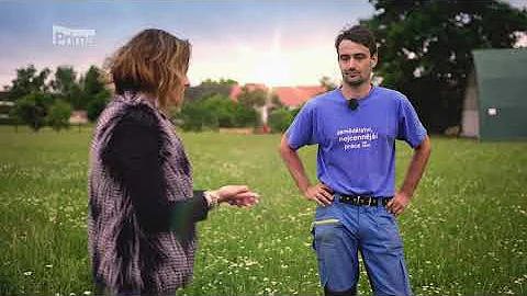 Co jsou zájmena?