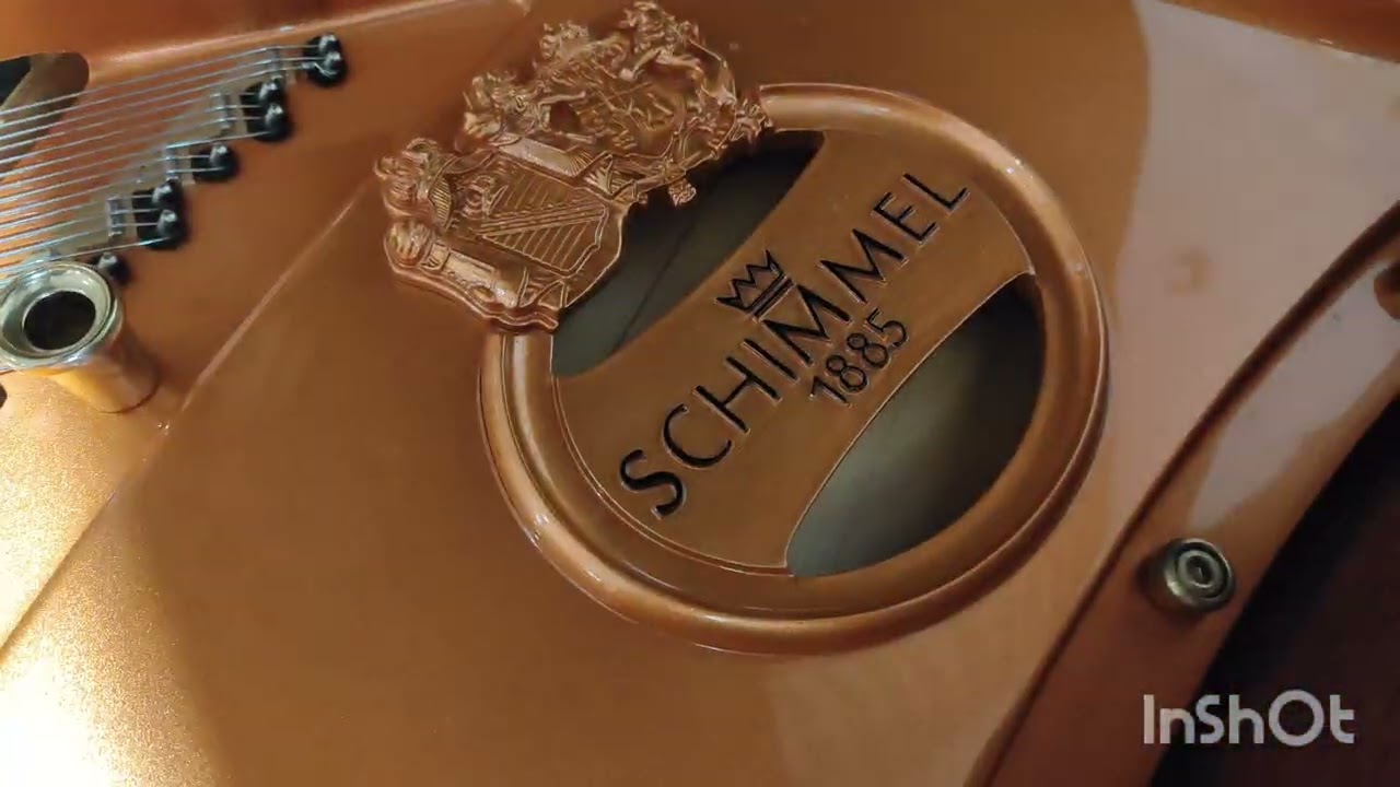 シンメル グランドピアノ C169クラシック点検動画