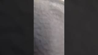 이마트 성서점 영상