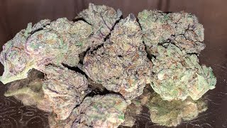 Kush Mintz x Runtz Strain Reciew