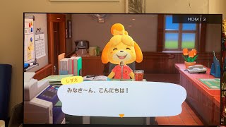 【直撮り実況】どうぶつの森　昼もやるよ！