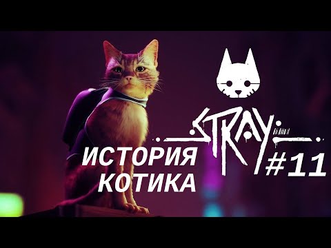 STRAY #11 Клементина