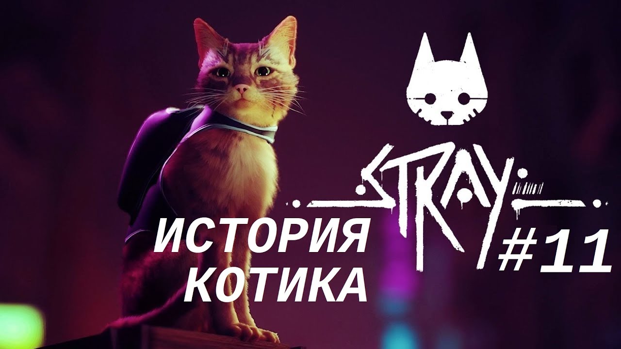 STRAY #11 Клементина