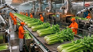 Celebrity Inside a celery juice factory: The process of transforming fresh celery into chilled juice. Profile