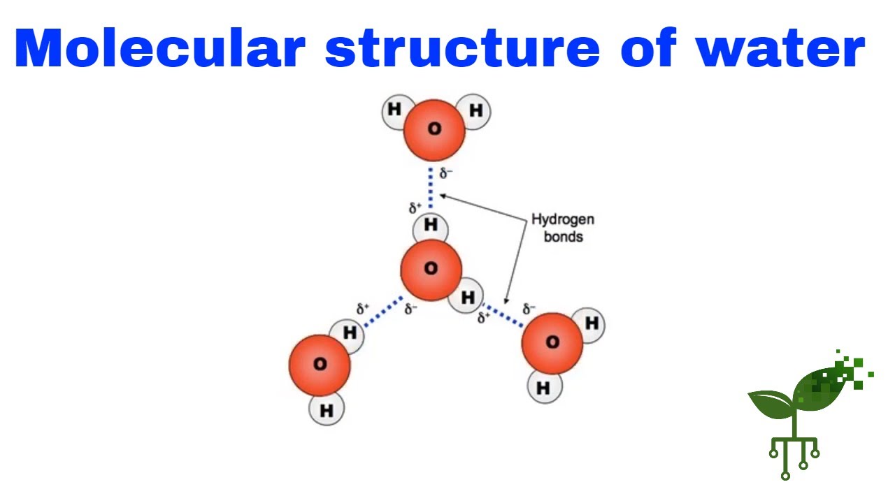 The molecular structure of water | Introduction to Earth systems | meriSTEM